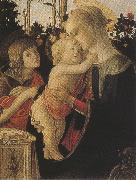 Sandro Botticelli Madonna of the Rose Garden or Madonna and Child with St john the Baptist (mk36) oil on canvas